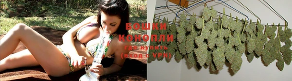 PSILOCYBIN Переславль-Залесский