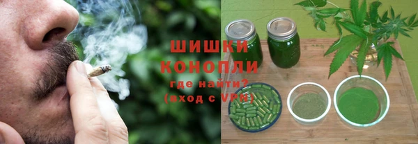 PSILOCYBIN Белокуриха