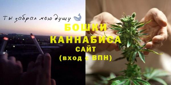 прущие грибы Пестово