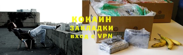 PSILOCYBIN Белокуриха