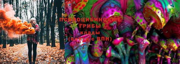 прущие грибы Пестово