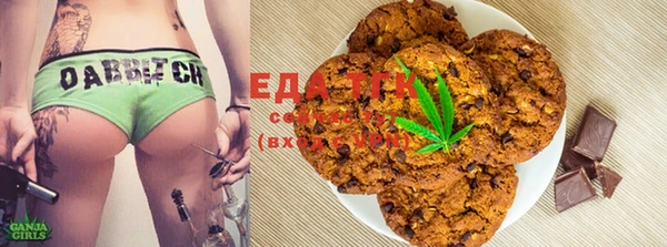 PSILOCYBIN Белокуриха