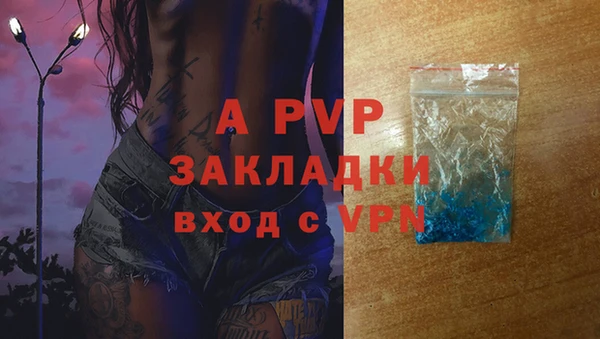 мяу мяу мука Беломорск