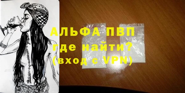 PSILOCYBIN Белокуриха