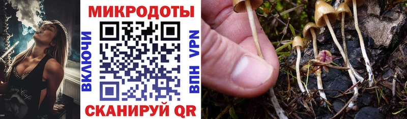 что такое наркотик  ОМГ ОМГ   Галлюциногенные грибы Psilocybine cubensis  Хотьково 